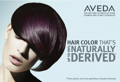 avedahaircolourstory.jpg - 21.43 kB